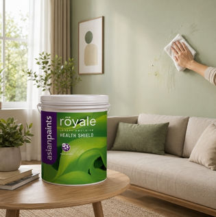 Premium Washable Paints with Health Protection