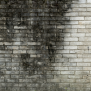 Exterior Blogs| 25-26 - AP - Algae Protection - Blog Optimization - July'2025
