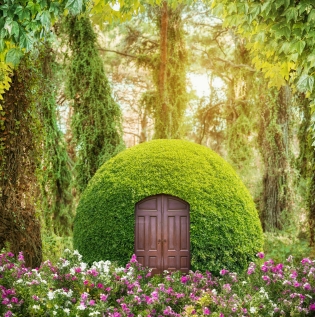 Fairytale Forest Wallpaper - Asian Paints