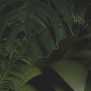 Green Forest Wallpaper - Asian Paints