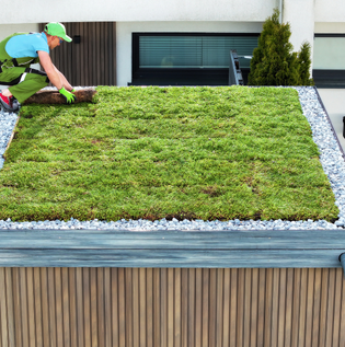 Benefits of Integrating Waterproofing with Green Roofing