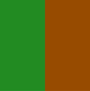 Forest Green Brown Colour Combination - Asian Paints