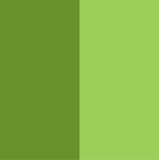 Green Colour Combinations - Asian Paints