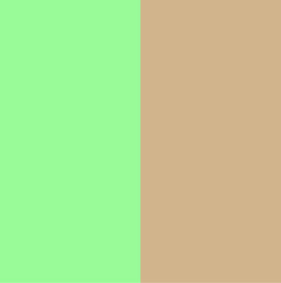 Pale Green Tan Colour Combination - Asian Paints
