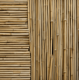 Bamboo: A Sustainable Timber Alternative