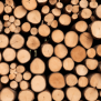 The Ultimate Guide to Timber Wood