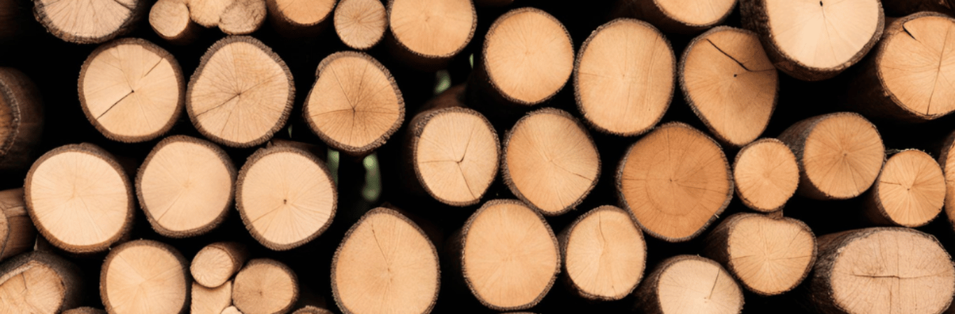 The Ultimate Guide to Timber Wood