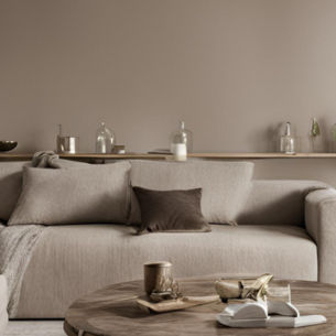 About Taupe Colour - Asian Paints
