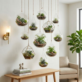Hanging Terrariums for Vertical Spaces