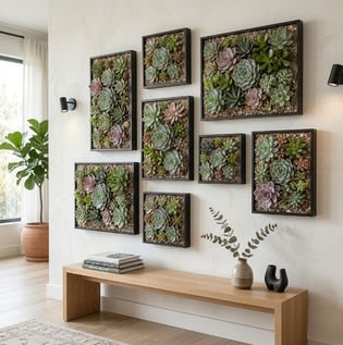 Framed Succulent Vertical Garden Displays
