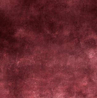 Maroon Wall Ideas - Asian Paints