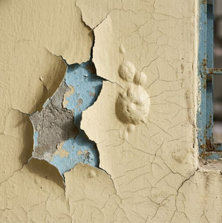 Peeling, Bubbling or Cracking Paint