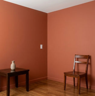 Indicators of a Professional Paint Finish