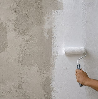 Paint Consumption on Freshly Plastered Walls