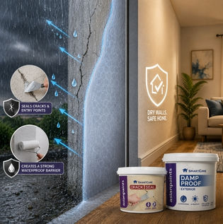 Crack Sealing and Waterproof Barrier to Prevent Wall Seepage
