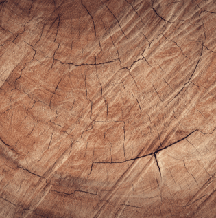 Oak for Bed Frames - Asian Paints