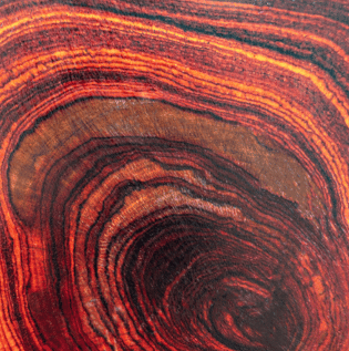 Rosewood as a Bed Frame Material - Asian Paints