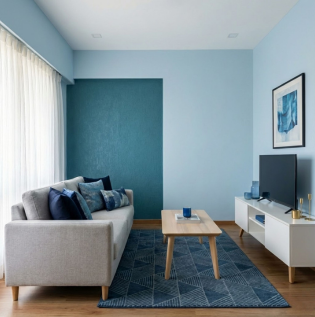 Elegant Blue Colour Combinations for Hall