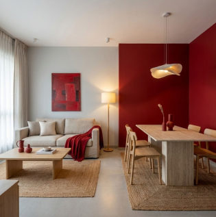 Red Colour Combination for Hall