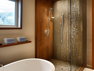 Luxury spa modern bathroom design ideas - Asian Paints