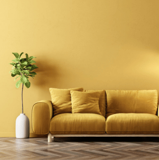 Mustard Yellow Coloured Living Room - Asian Paints