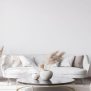 Off White Colour Walls - Asian Paints