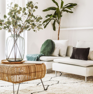 Off White Cream Colour Walls - Asian Paints