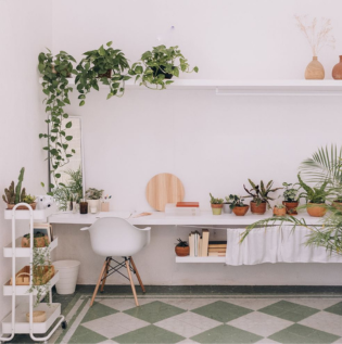 Off White Study Room with Plants - Asian Paints