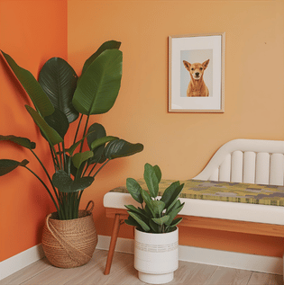 How to Use Orange Colour in Interior Design