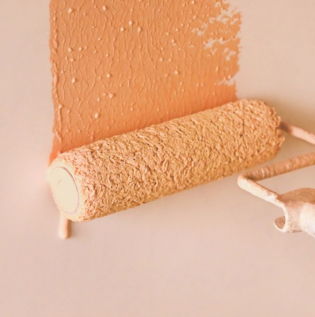 Painting Extension Pole - Asian Paints
