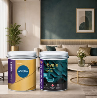 Premium Paint Options for Homes