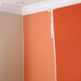 Cost Comparison For Premium Paints And Budget Paints