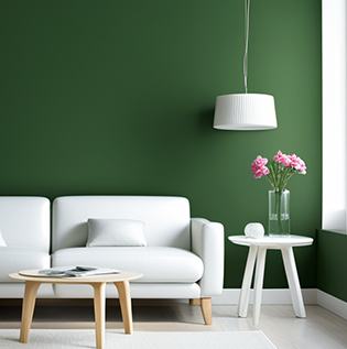 Texture Painters in Hyderabad - Asian Paints