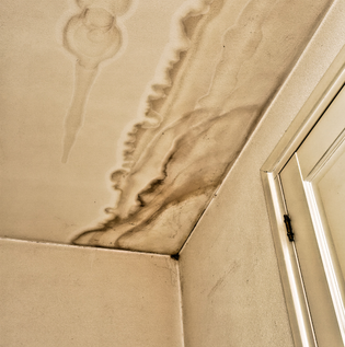 Common Types of Roof Leakage - Asian Paints