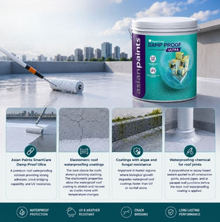 Best Waterproof Paints and Roof Coatings