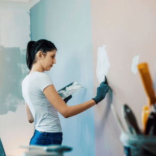 Understanding Royale and Apcolite Paints