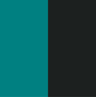 Sage Green Black Combination - Asian Paints