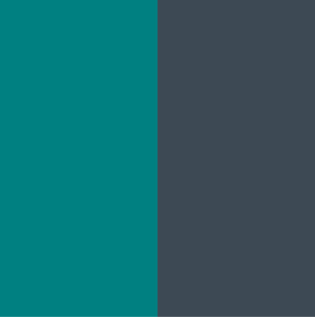 Sage Green Charcoal Grey Combination - Asian Paints