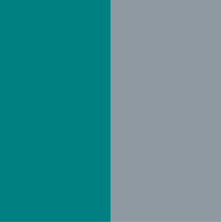 Sage Green Grey Combination - Asian Paints