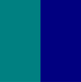 Sage Green Navy Blue Combination - Asian Paints