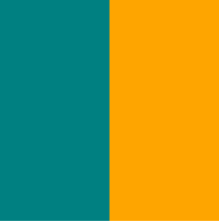 Sage Green Orange Combination - Asian Paints