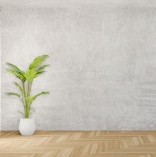 Concrete Texture Wall - Asian Paints