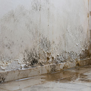 Seepage Meaning, Causes, Signs, Effects and Solutions