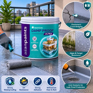 Best Waterproof Paints and Protective Coatings
