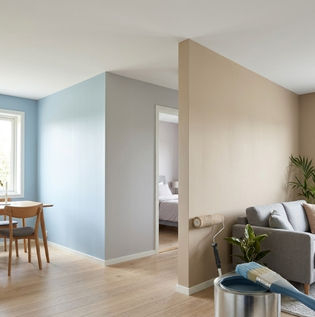 Emulsion Paint for Home Interiors