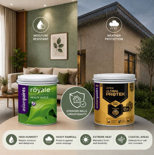Selecting Wall Finishes Based on Climate Conditions
