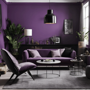 Violet and Black Wall Combination - Asian Paints