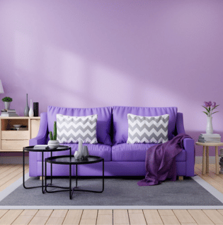 Violet and White Wall Combination - Asian Paints