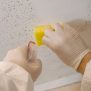 Main Causes of Wall Fungus - Asian Paints
