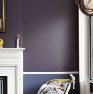 Elegant & good paint for interior walls - Asian Paints